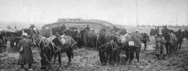 Tank and calvary unit