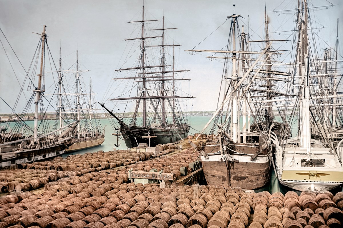 whaleships casks oil-1200 Hundreds of casks of oil unloaded from whaleships.